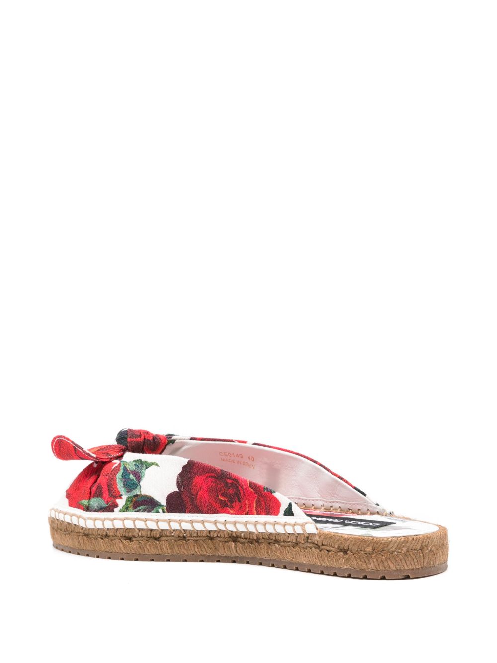 Printed slides