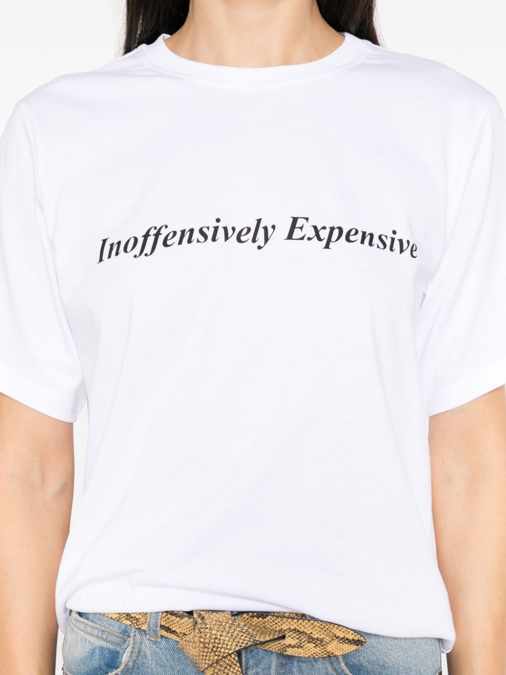 Inoffensively expensive t-shirt