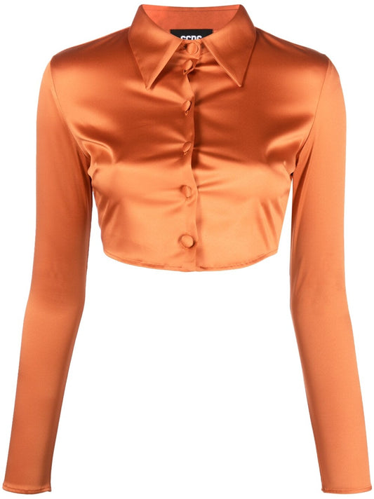 Long sleeve cropped top