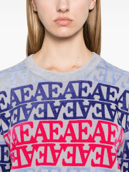 Crewneck sweater