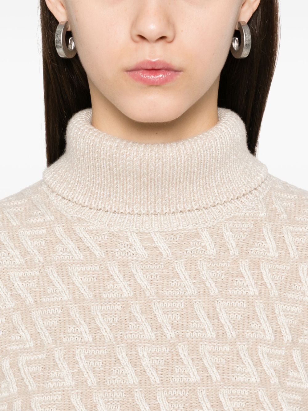 Wool and cashmere turtle-neck jumper