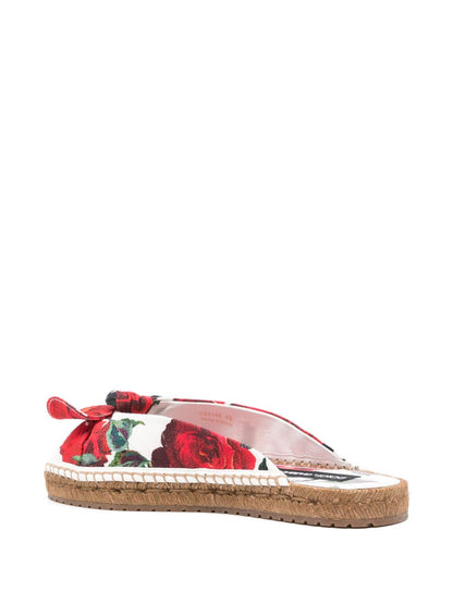 Printed slides