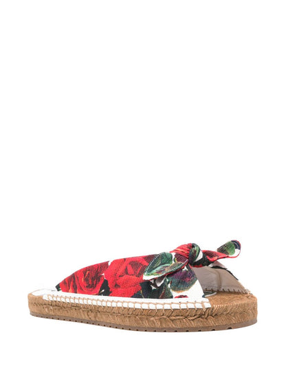 Printed slides