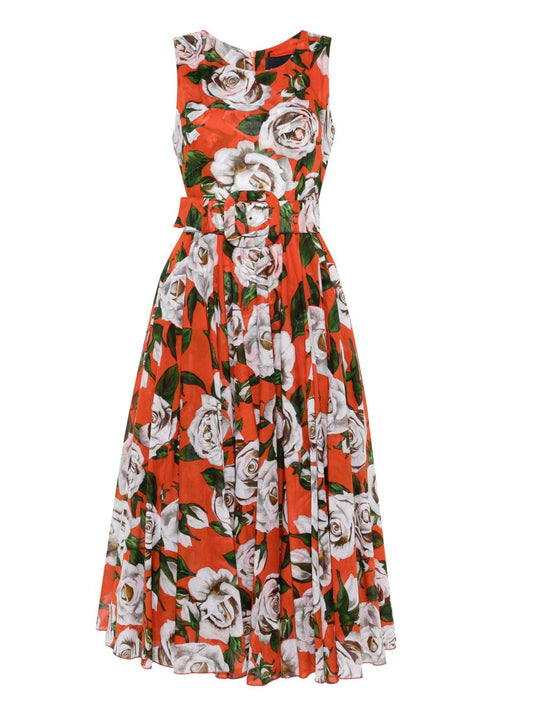 Aster printed midi dress